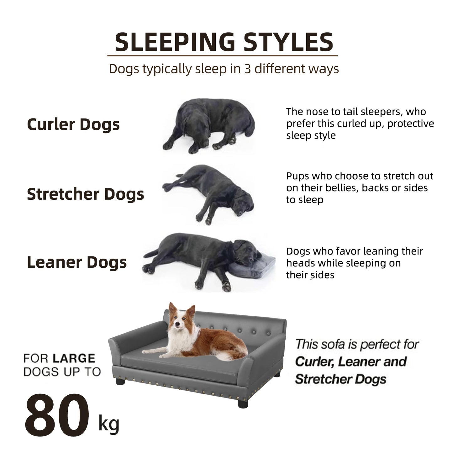 Elevated Sofa bed