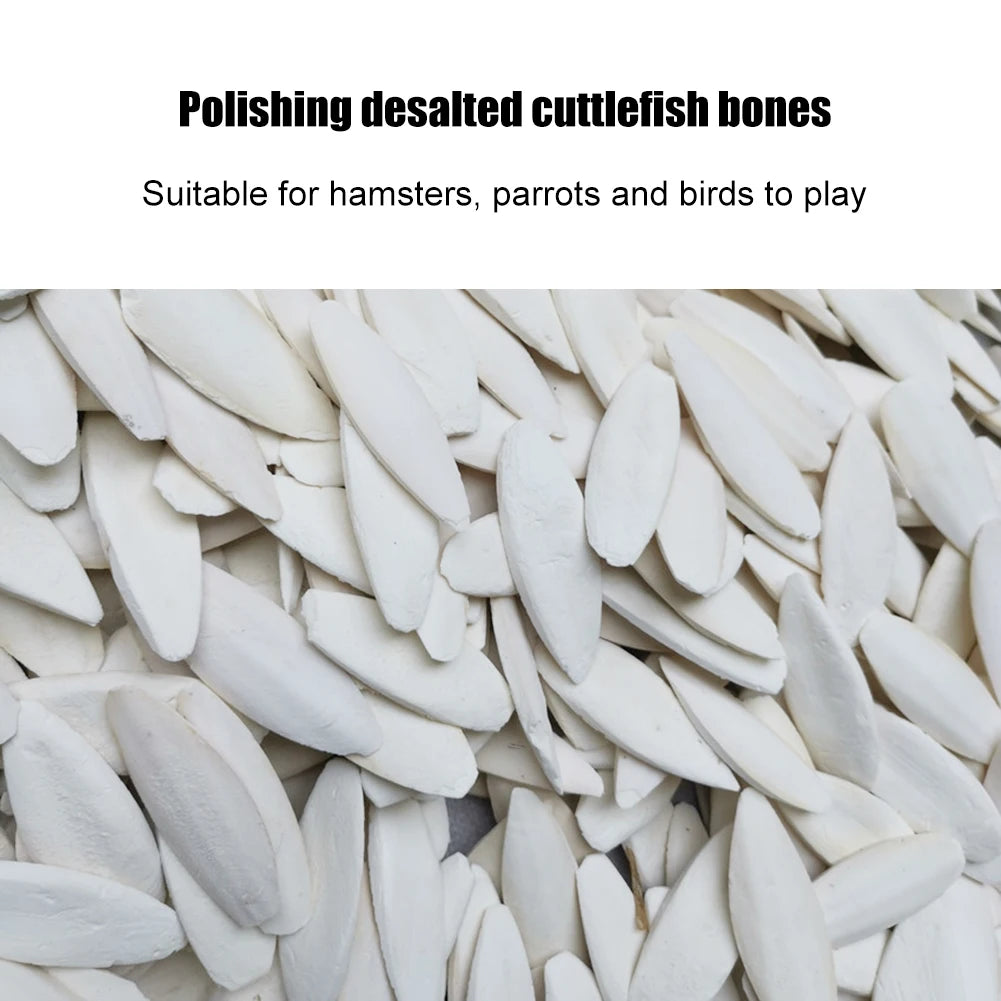 Calcium Cuttlebone Pick Stone