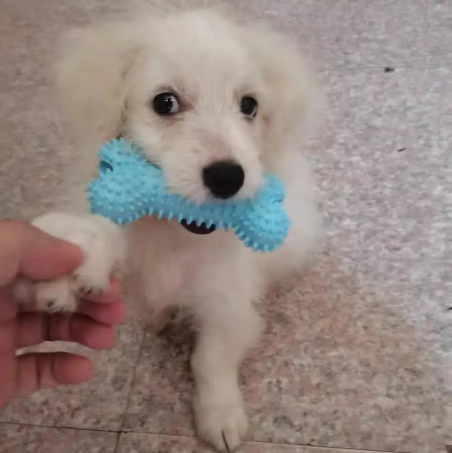 Durable Squeaky Dog Chew Toys