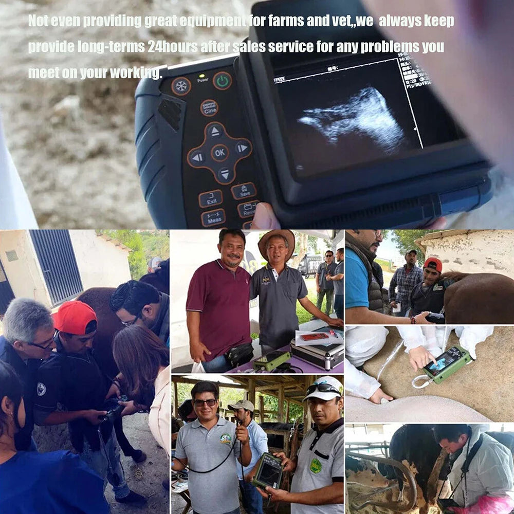 Portable Veterinary Ultrasound for Animals