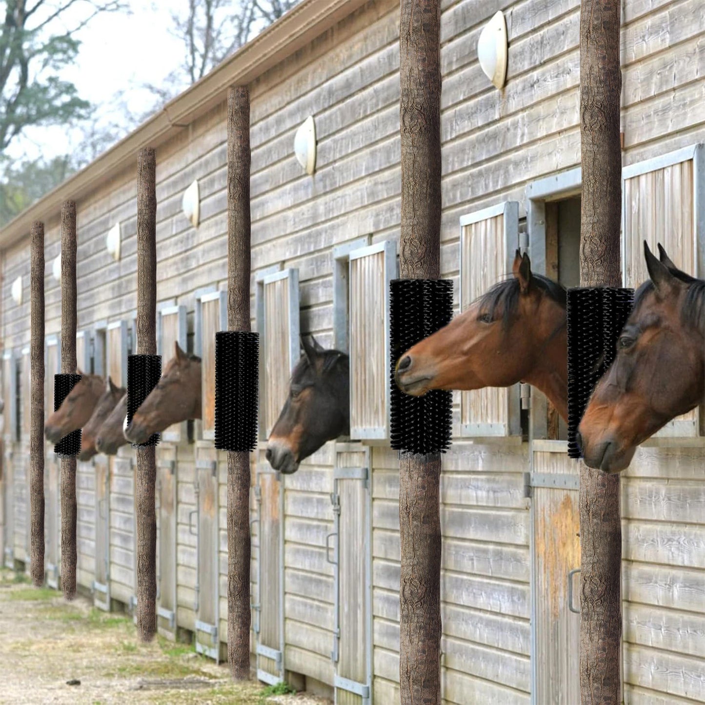 Livestock Scratching Brush