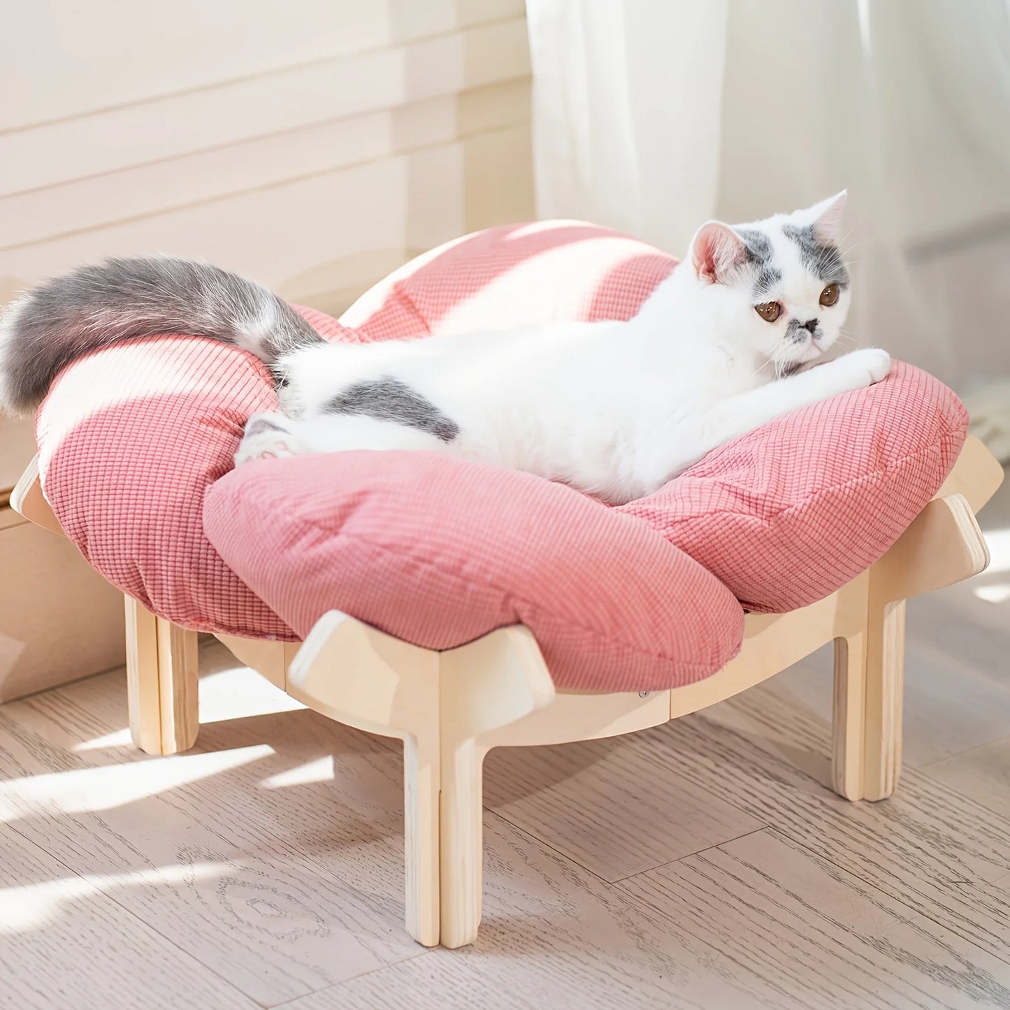 Raised Wooden Bed with a Soft Cushion