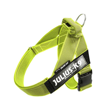 Julius-K9 IDC® Color & Gray®  Belt Harness