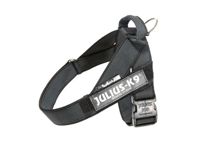 Julius-K9 IDC® Color & Gray®  Belt Harness