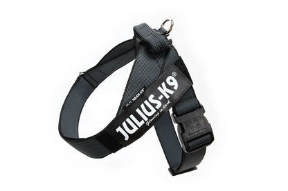 Julius-K9 IDC® Color & Gray®  Belt Harness