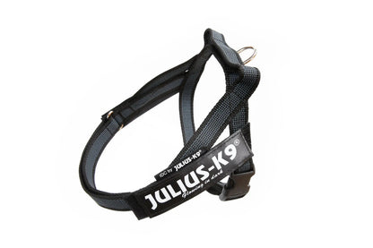 Julius-K9 IDC® Color & Gray®  Belt Harness