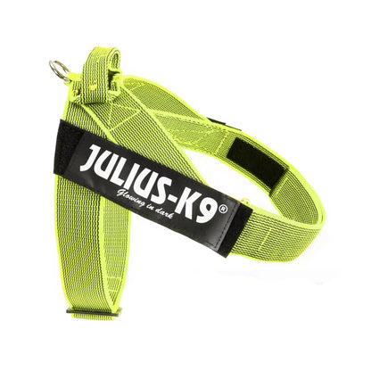 Julius-K9 IDC® Color & Gray®  Belt Harness