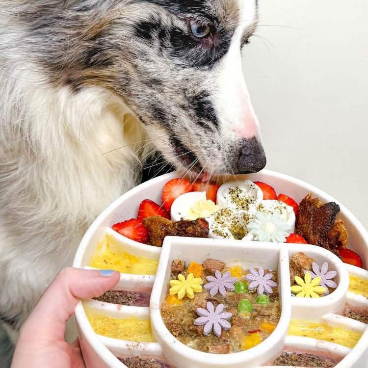 Java eBowl Deep Slow Feeder Dog Bowl for Enrichment | USA Made