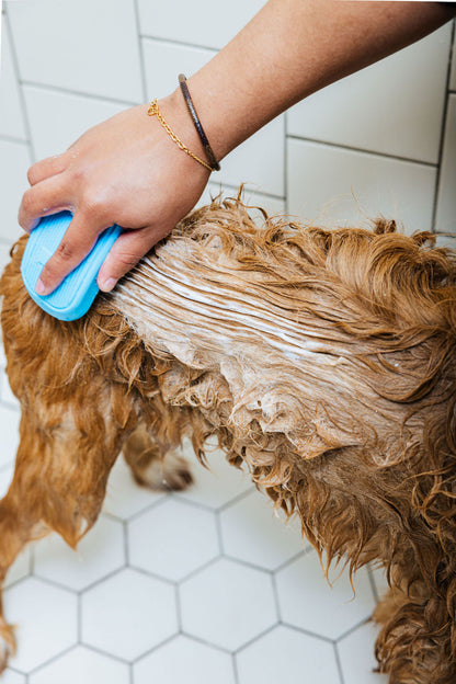 Spritz (Dog Shampoo & Conditioner Duo)