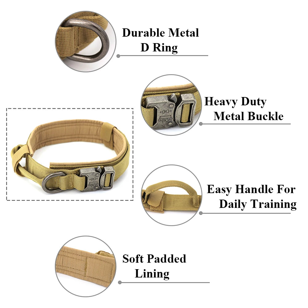 Training Collar Adjustable