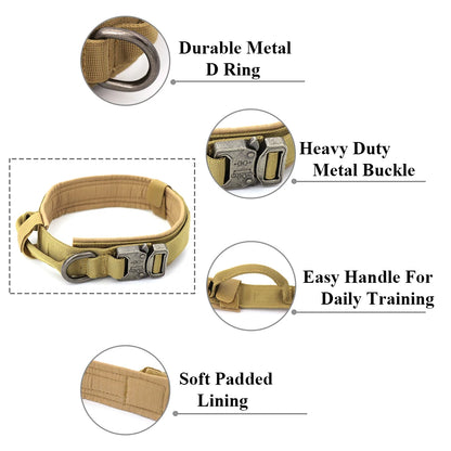 Training Collar Adjustable