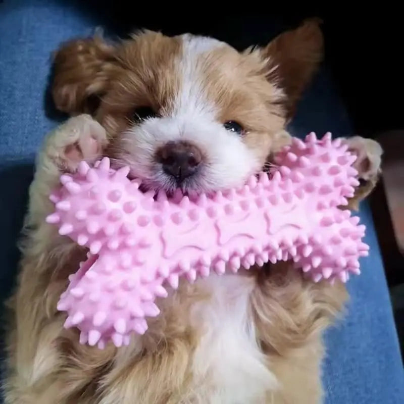 Durable Squeaky Dog Chew Toys