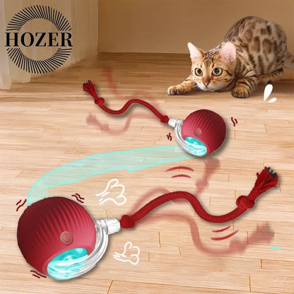 2Pcs Cat Interactive Automatic Rolling Ball
