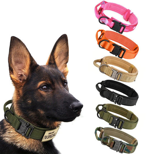 Training Collar Adjustable