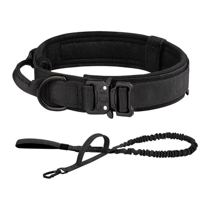 Training Collar Adjustable