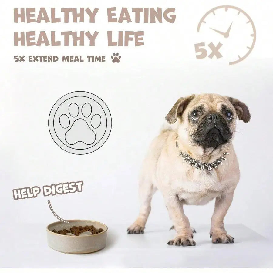 Elevated Slow Feeder Ceramic bowl