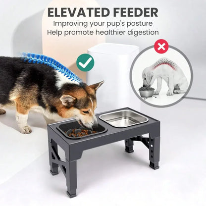 slow feeder Dog Bowl Elevated