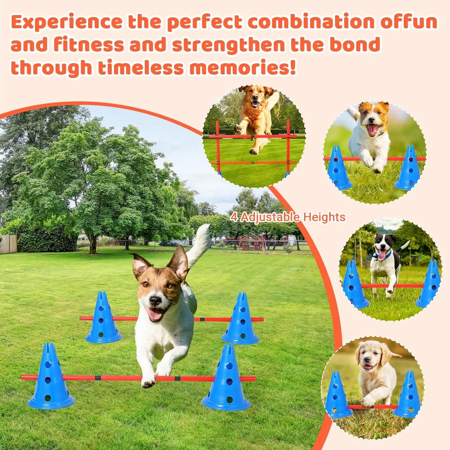 Agility Hurdle Cone Set