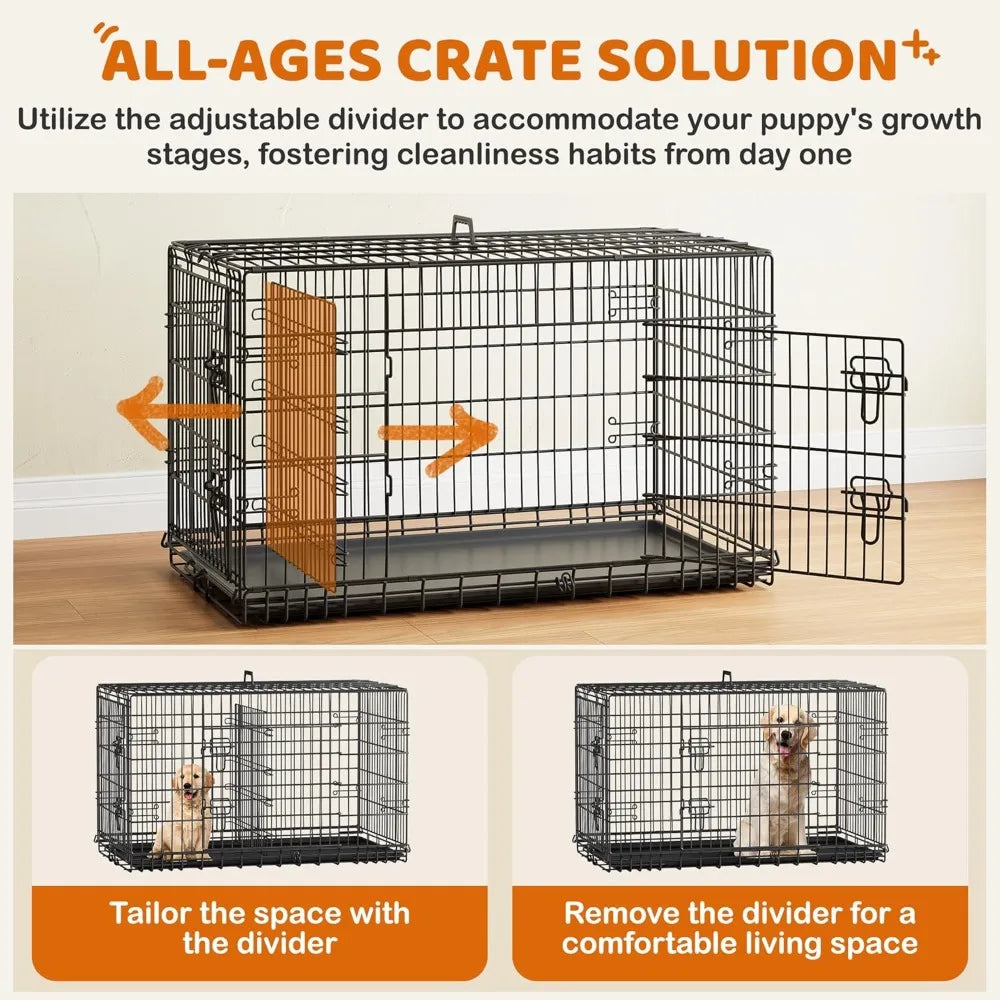 Double Door Dog Crate