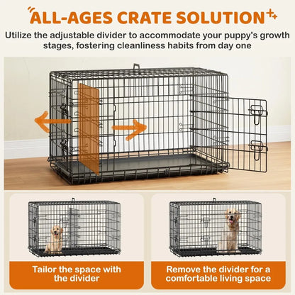 Double Door Dog Crate