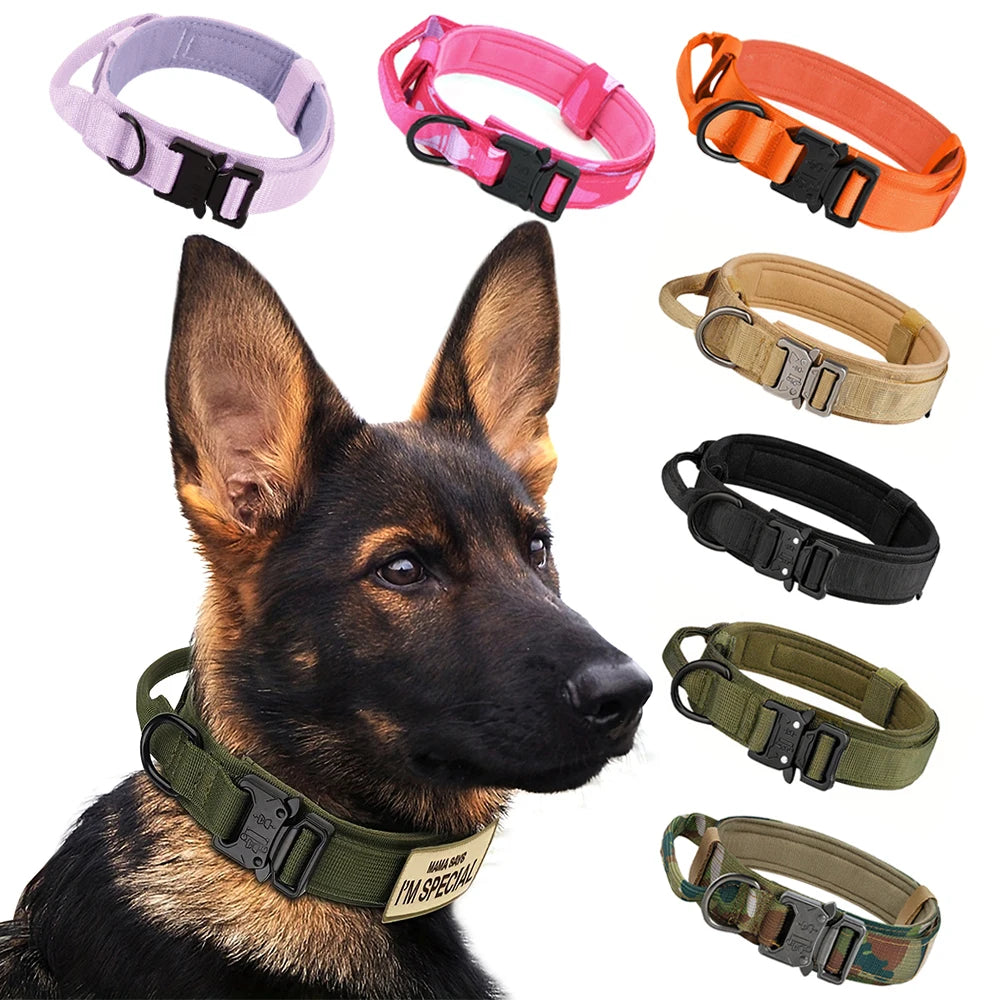 Training Collar Adjustable