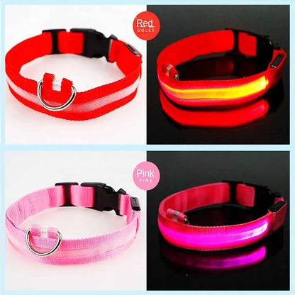 LED Pet Dog Collar for Night Safety | Bright USB Rechargeable