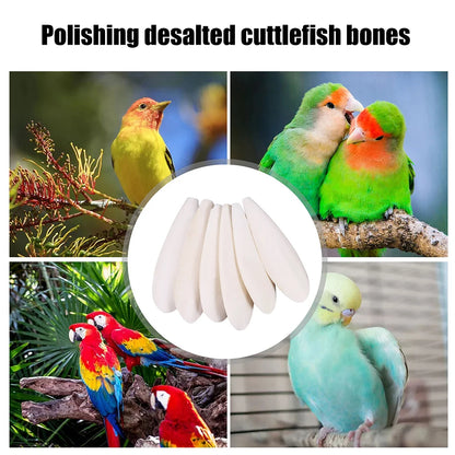 Calcium Cuttlebone Pick Stone