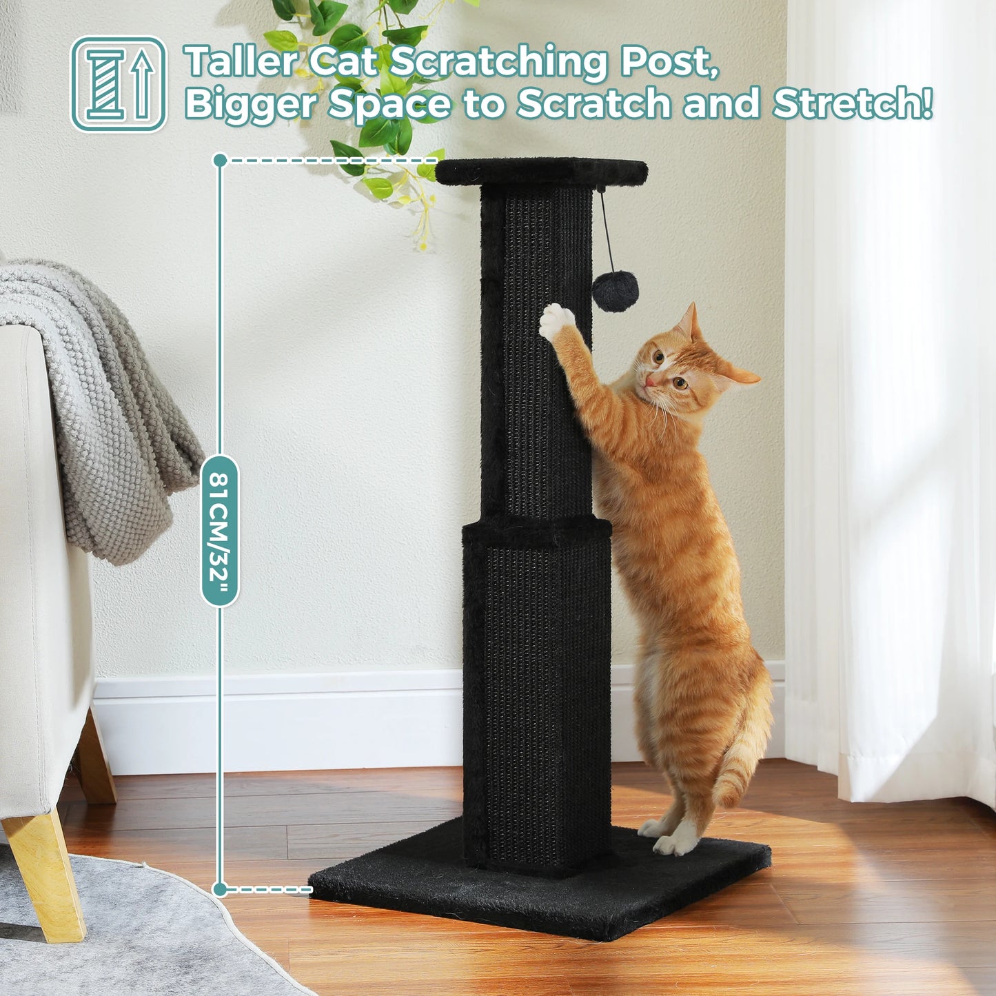 Large Cat Scratching Post for Indoor Cats