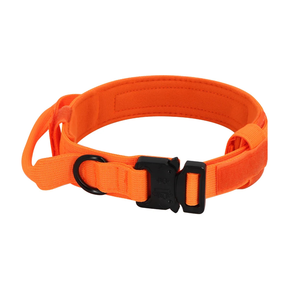 Training Collar Adjustable