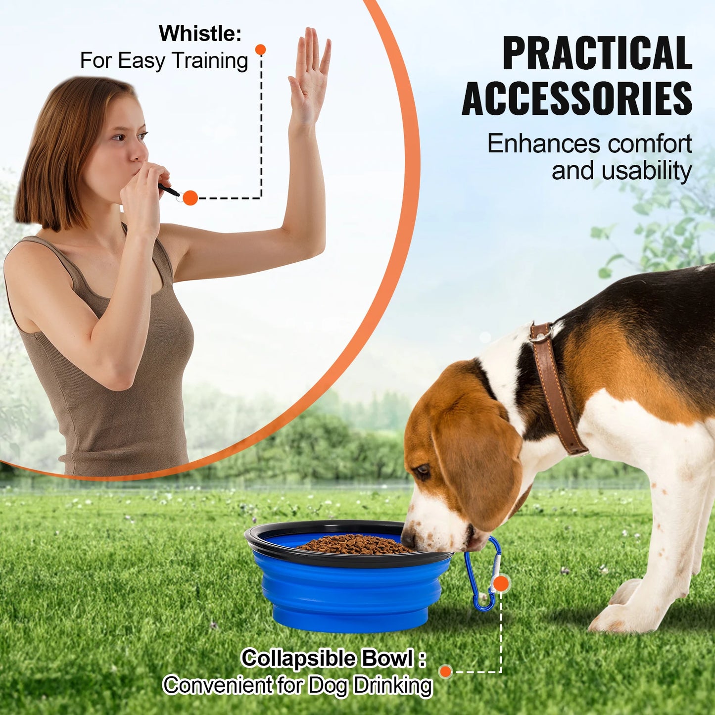 Agility Training Equipment