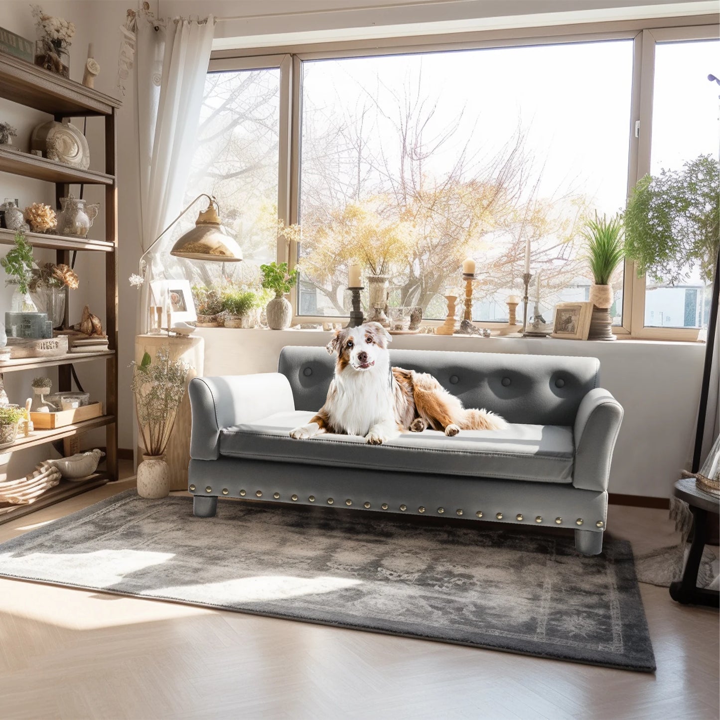 Elevated Sofa bed