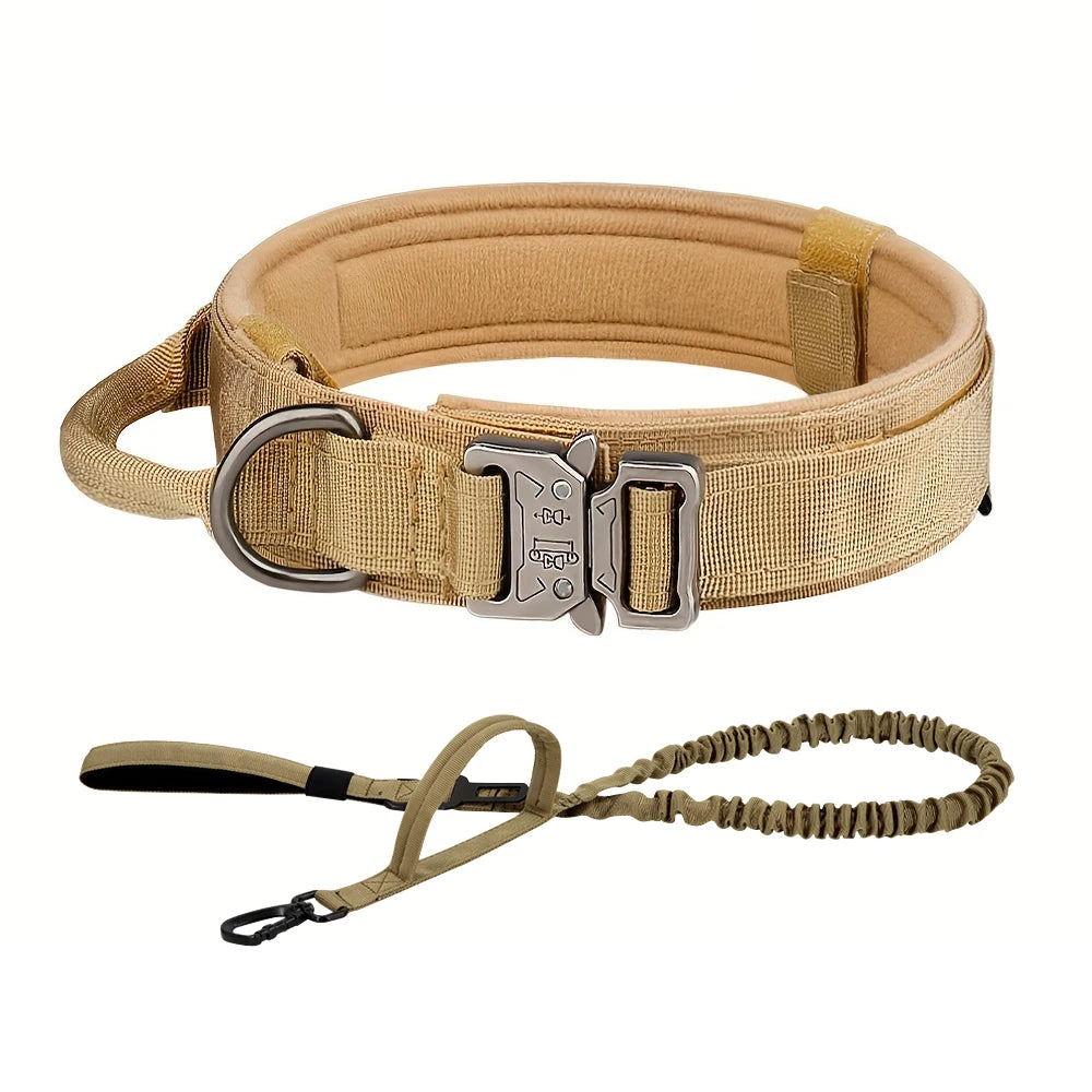 Training Collar Adjustable