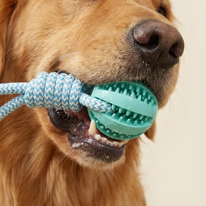 Cotton Rope & Rubber Dog Chew Ball,