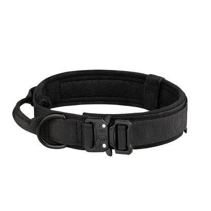 Training Collar Adjustable