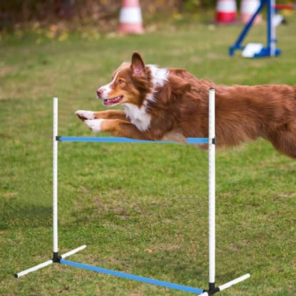 6 Pcs Dog Agility Training Equipment