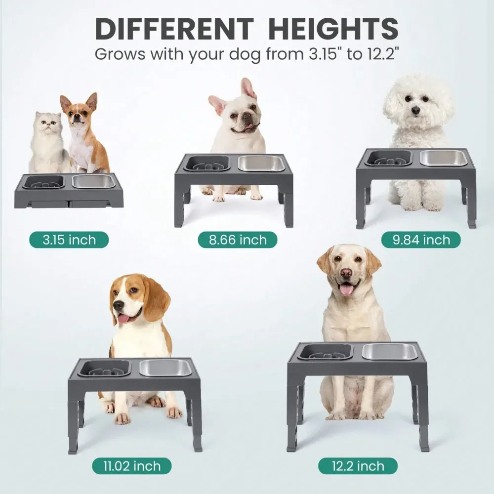 slow feeder Dog Bowl Elevated