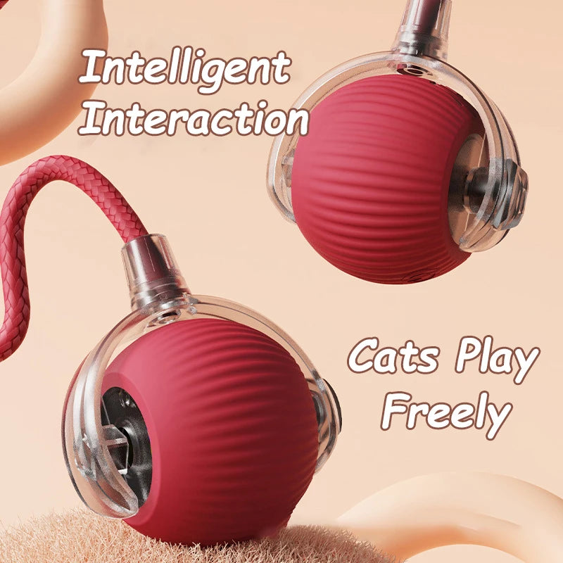 2Pcs Cat Interactive Automatic Rolling Ball