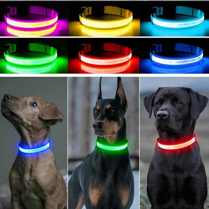 LED Pet Dog Collar for Night Safety | Bright USB Rechargeable