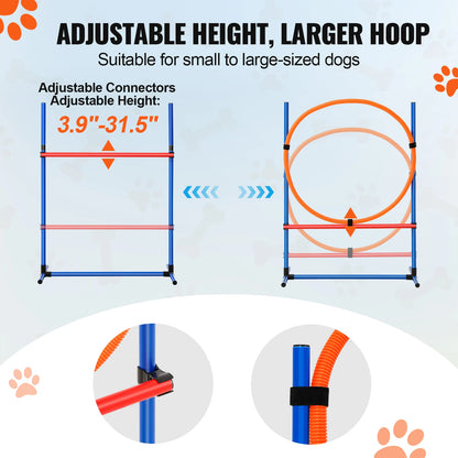 Agility Training Equipment
