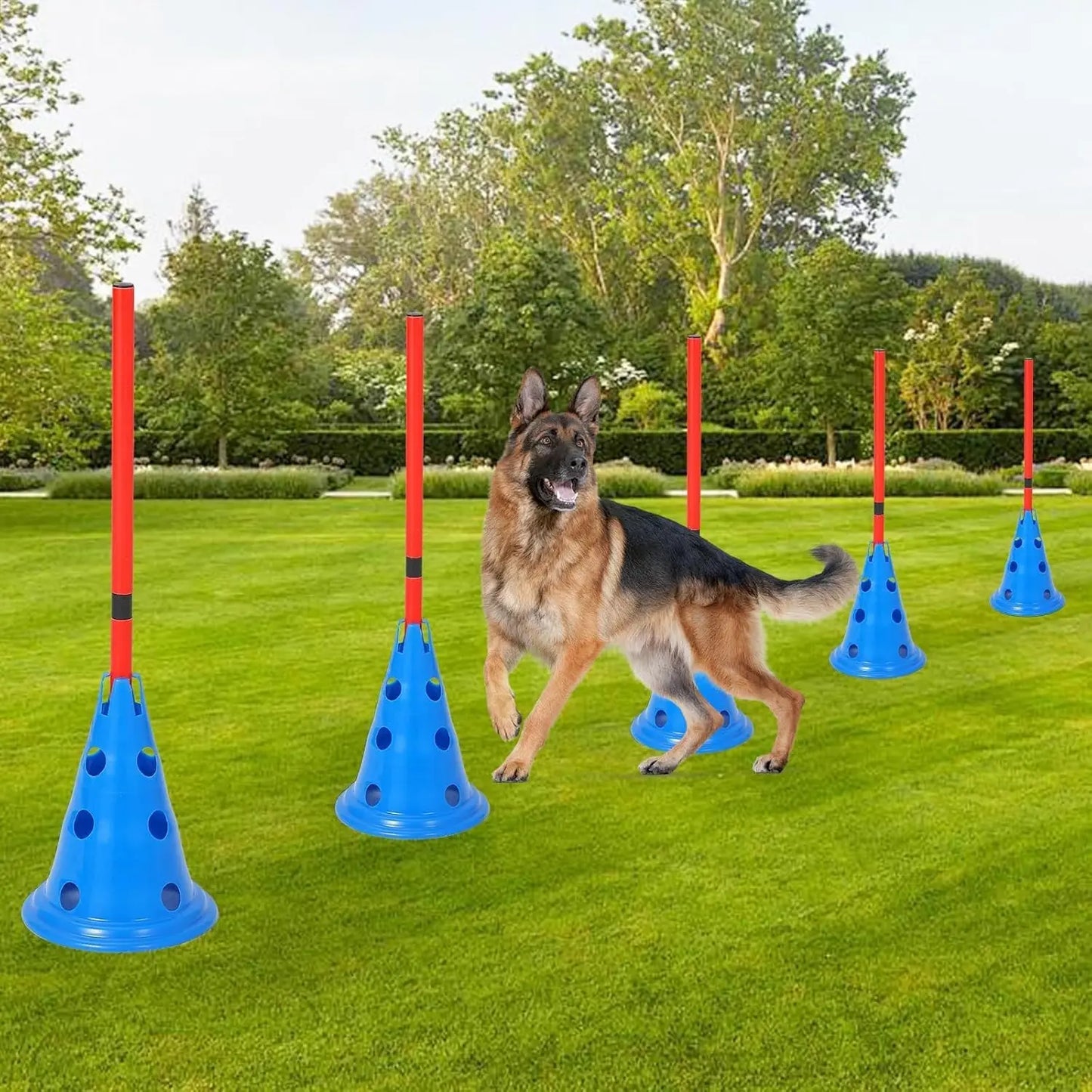 Agility Hurdle Cone Set