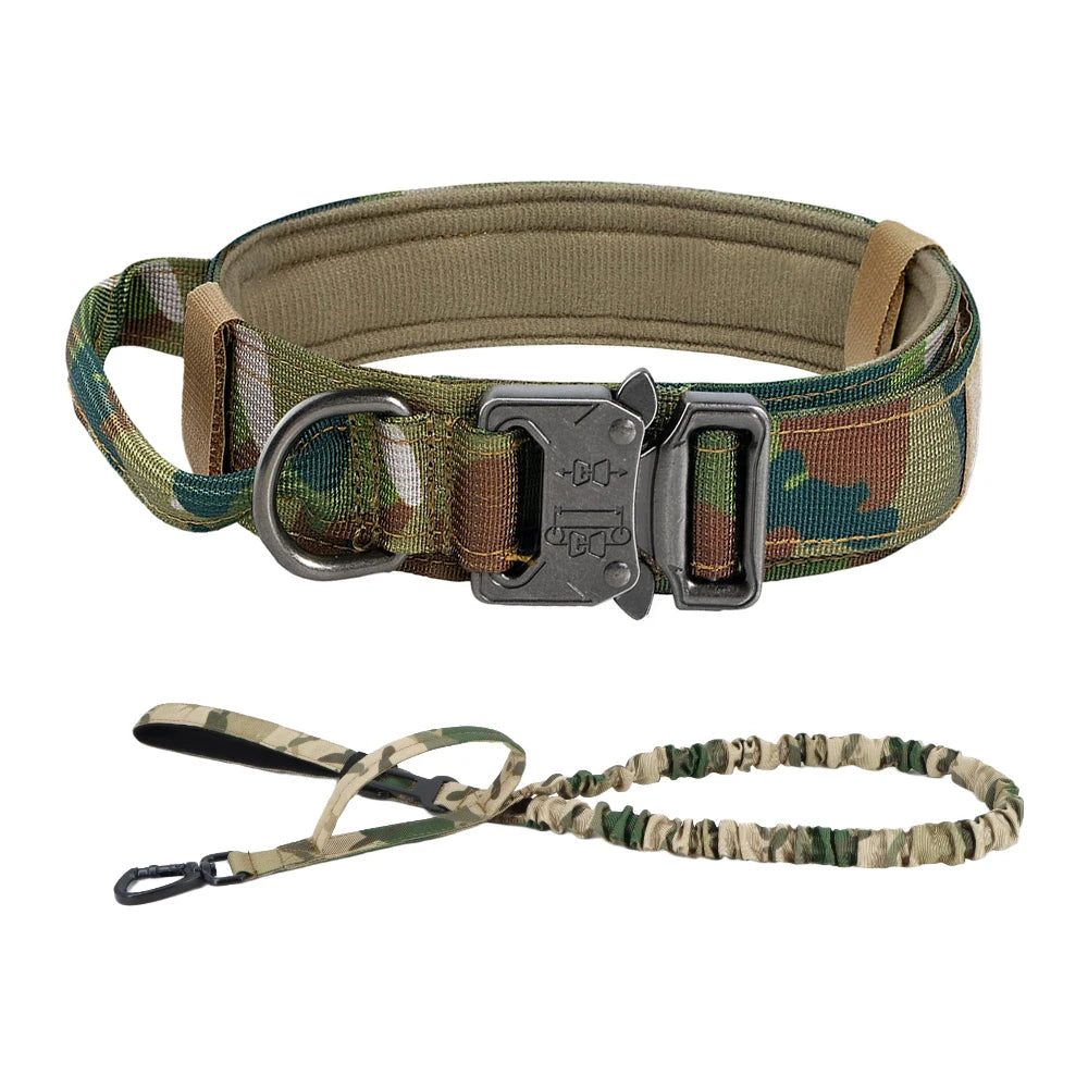 Training Collar Adjustable
