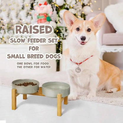 Elevated Slow Feeder Ceramic bowl