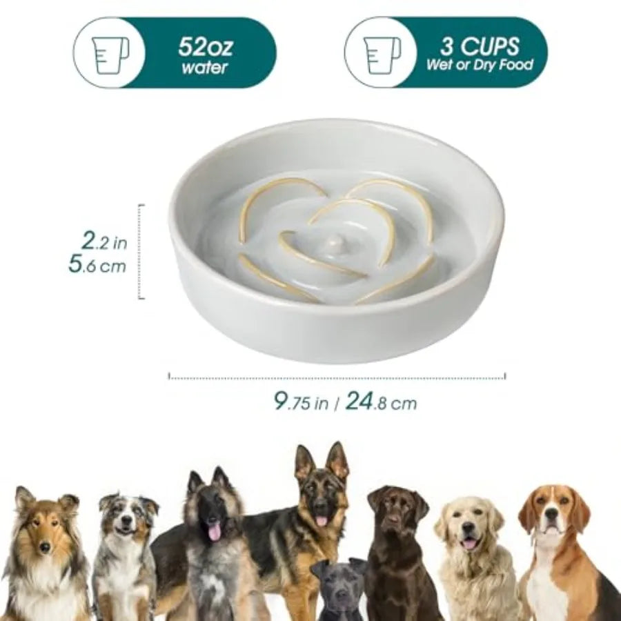 Slow Feeder Dog Bowl, large
