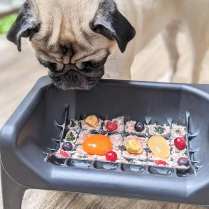 Elevated Slow Feeder Dog Bowl