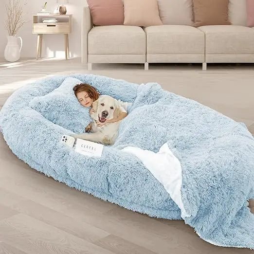Oversized Grey Memory Foam Dog Bed with Pillow
