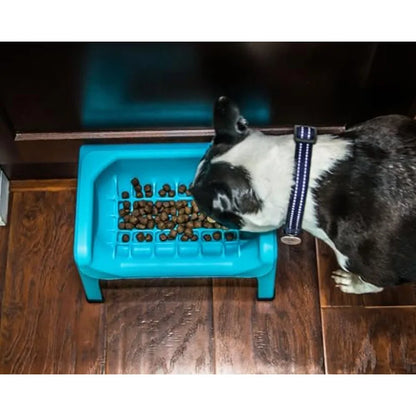 Elevated Slow Feeder Bowls