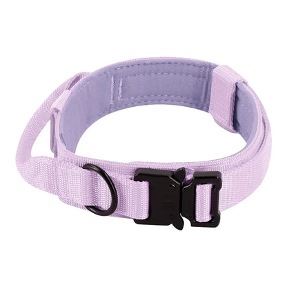 Training Collar Adjustable