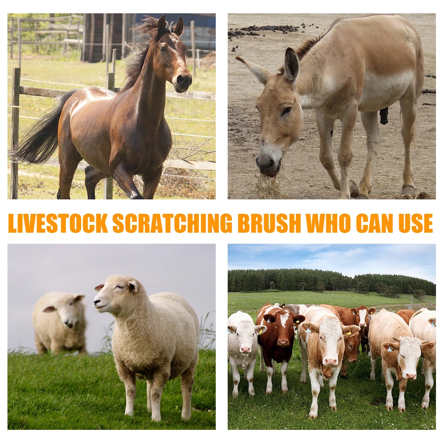 Livestock Scratching Brush