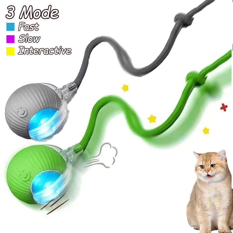 2Pcs Cat Interactive Automatic Rolling Ball