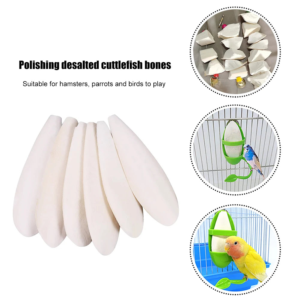 Calcium Cuttlebone Pick Stone